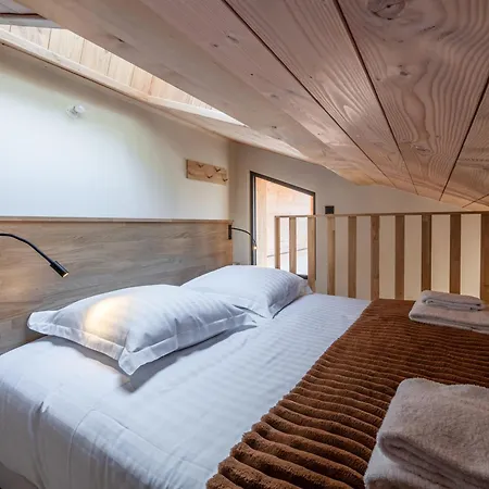 Avec Jacuzzi Et Animaux Admis, Vue Mont-blanc - Fr-1-343-259 霞慕尼